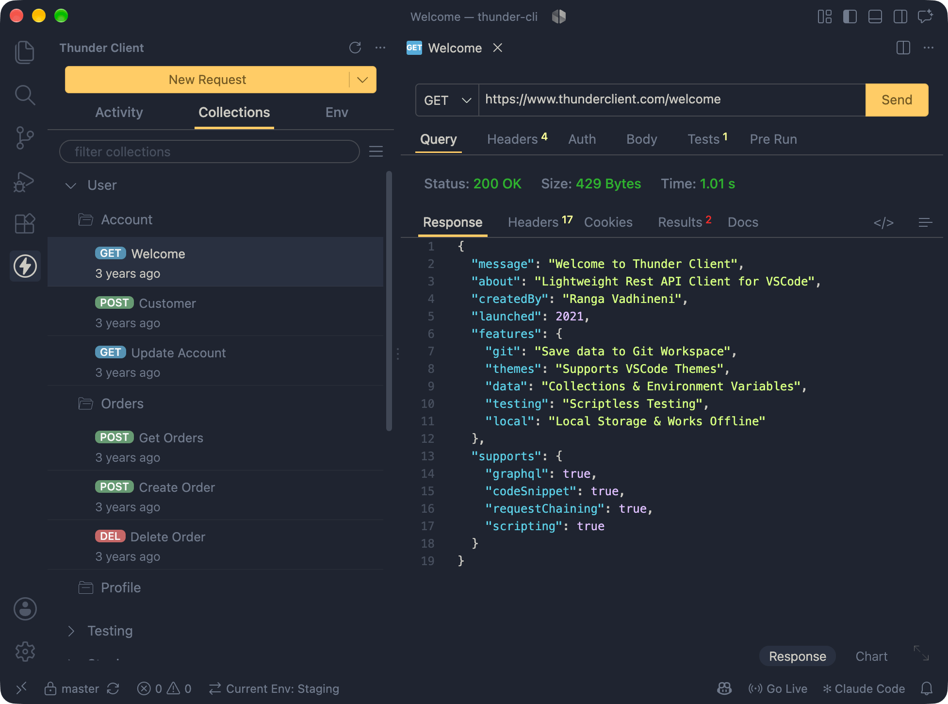 Thunder Client API request workspace inside an IDE
